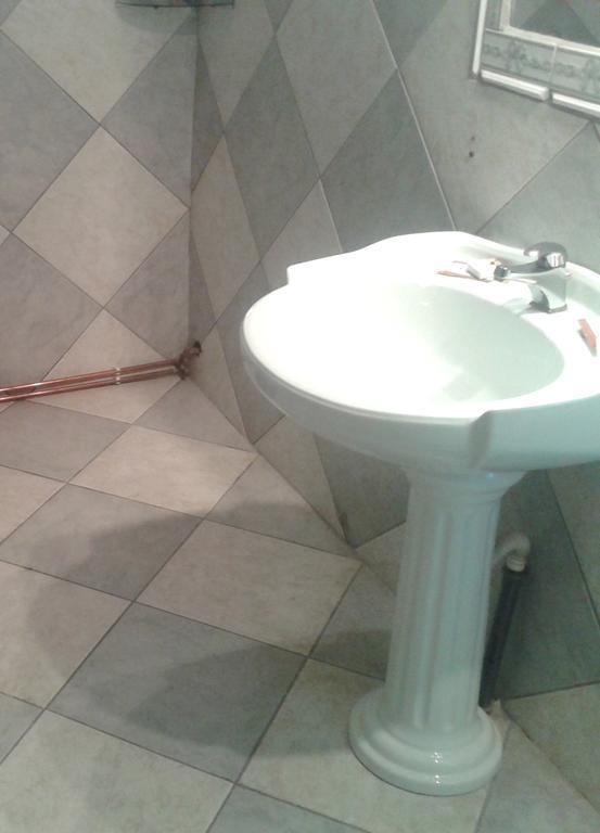 Pensiunea Vila Dana Cluj-Napoca Rom bilde